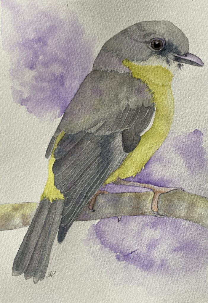 Yellow Robin watercolour painting