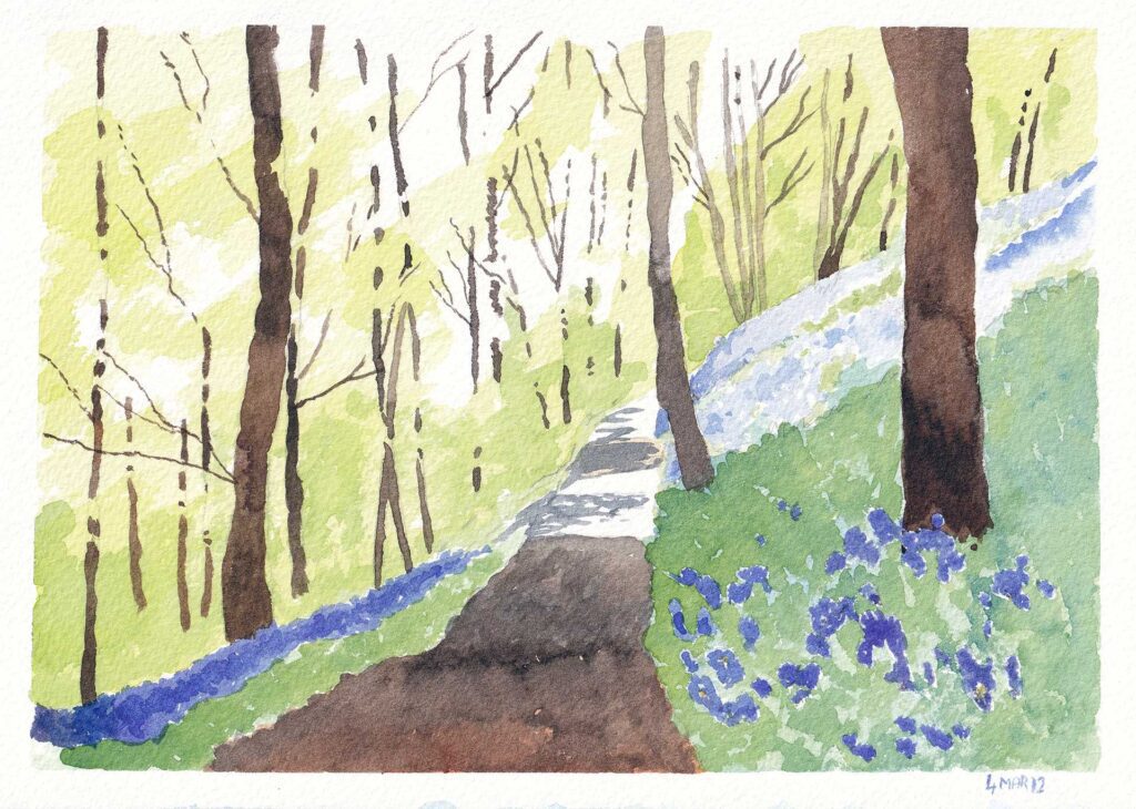 Watercolour painting of a bluebell woodland