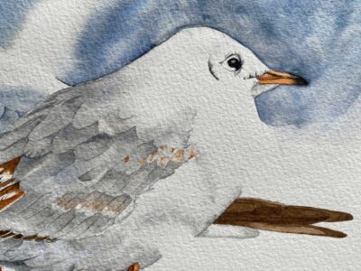 Seagulls in watercolour right side detail